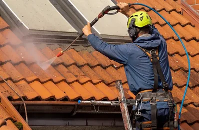 Démoussage et hydrofuge de toiture aux Bordes